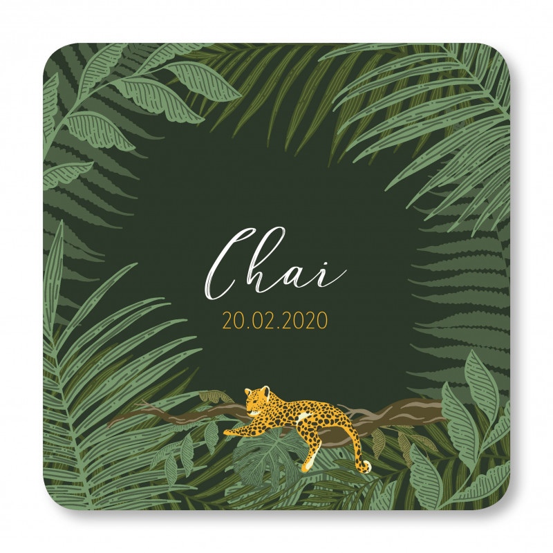 Geboortekaartje Tijger Chai Geboortekaartje Tijger Chai