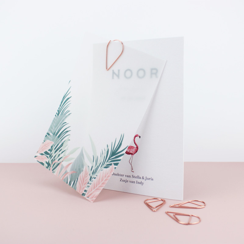 Geboortekaartje Tropisch flamingo Geboortekaartje Tropisch flamingo