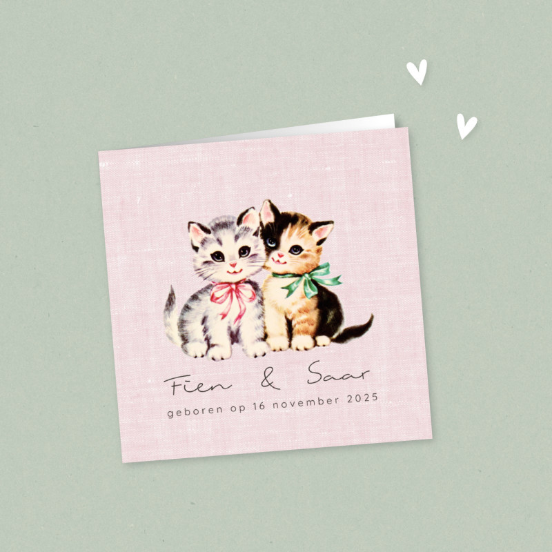 Geboortekaartje Twee katjes Geboortekaartje Twee katjes