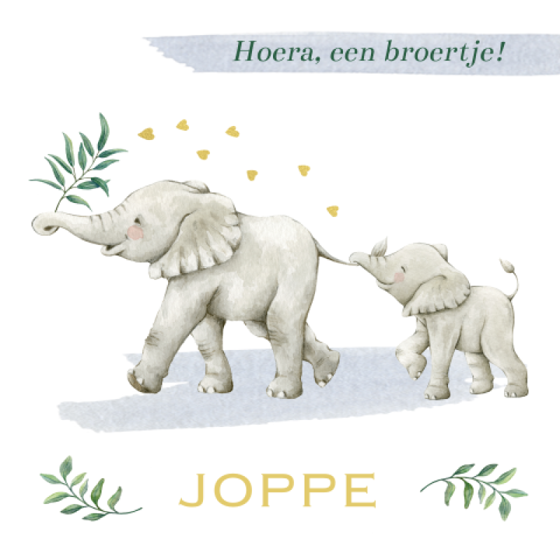 Geboortekaartje Tweede kindje Geboortekaartje Tweede kindje