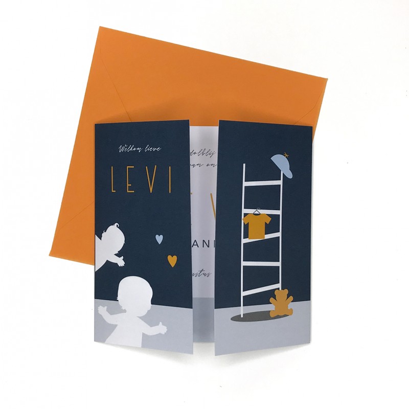 Geboortekaartje Ladder met twee broertjes Geboortekaartje Ladder met twee broertjes