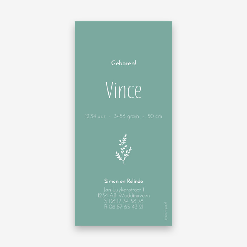 Geboortekaartje Vince