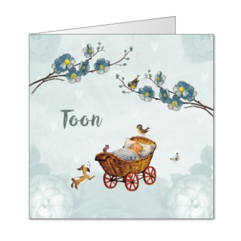 Geboortekaartje Vintage kinderwagen jongen Geboortekaartje Vintage kinderwagen jongen