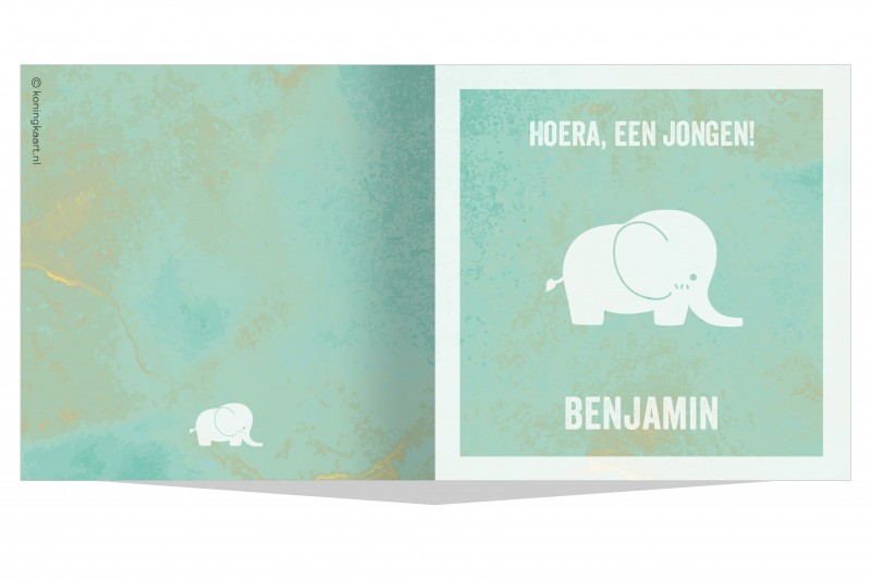 Geboortekaartje Waterverf olifant Geboortekaartje Waterverf olifant