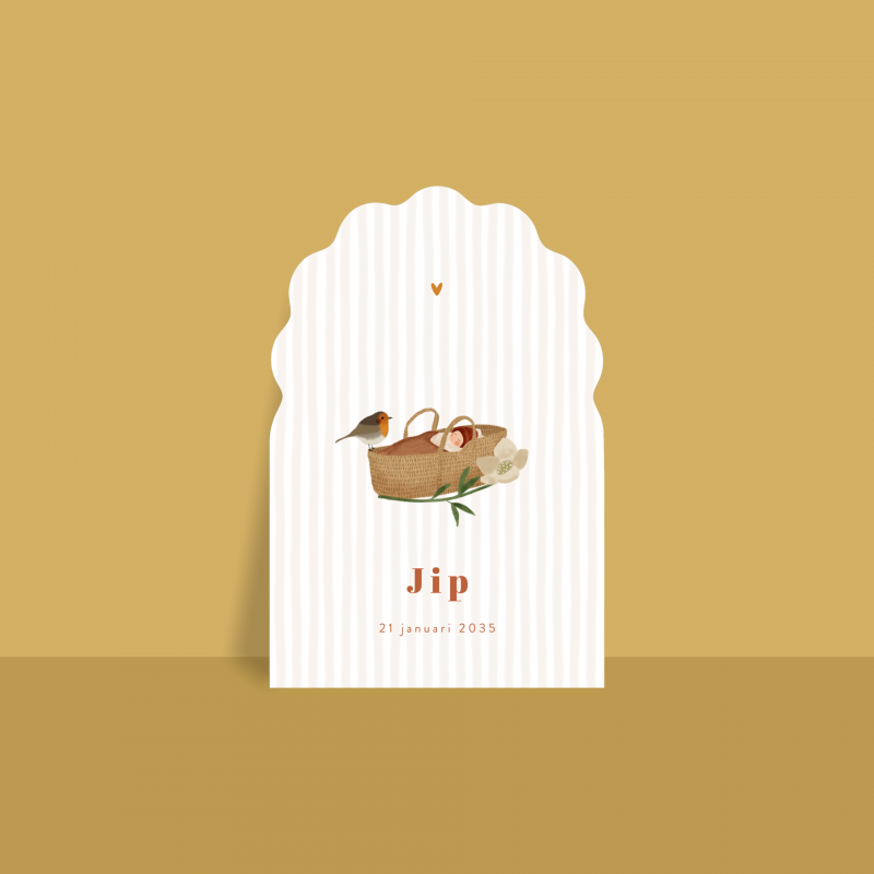 Geboortekaartje wiegje