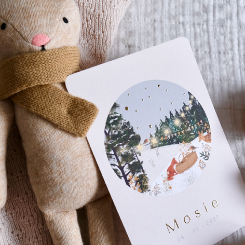 Geboortekaartje Winters geboortekaartje