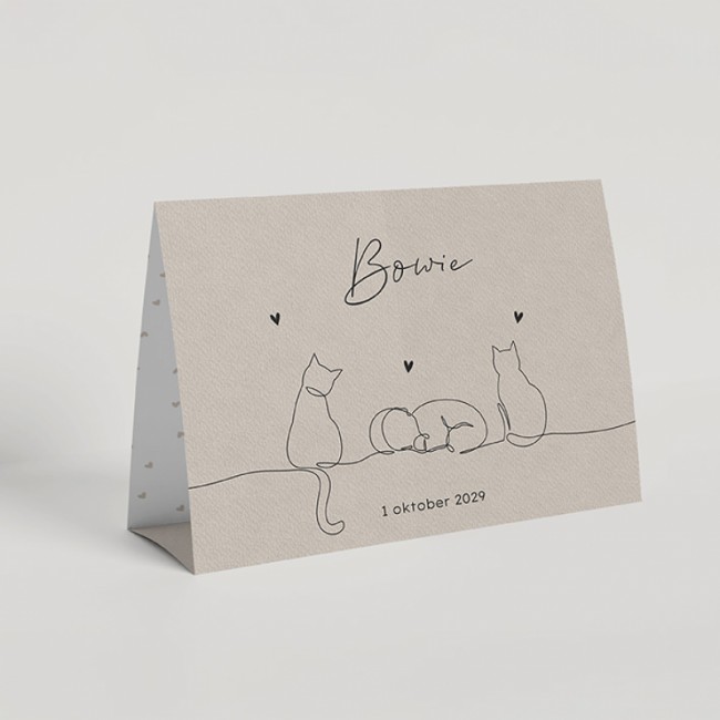 Geboortekaartje Baby en twee katten
