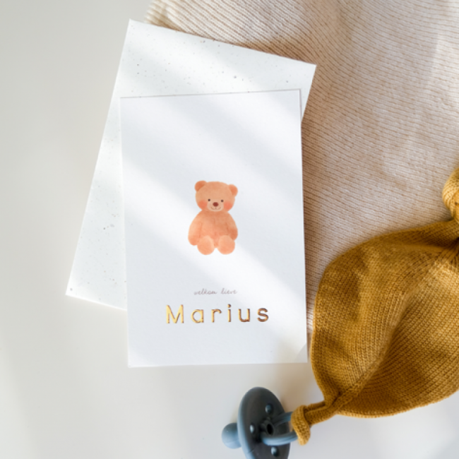Geboortekaartje Beertje