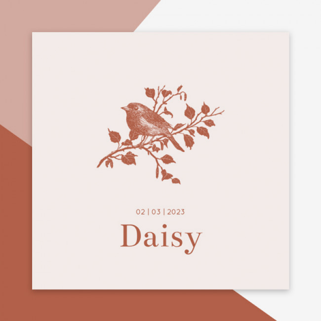 Geboortekaartje Daisy