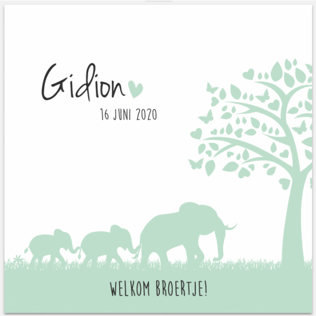 Geboortekaartje Familie olifant