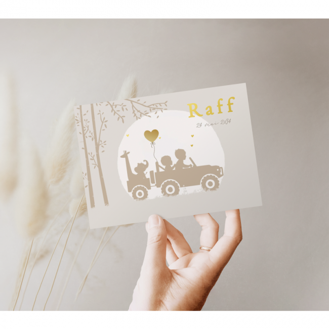 Geboortekaartje Geboortekaartje meisje ach