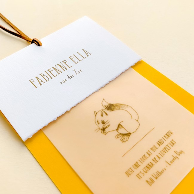 Geboortekaartje kalkpapier en illustraties