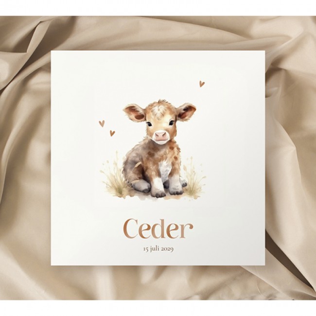 Geboortekaartje Koe