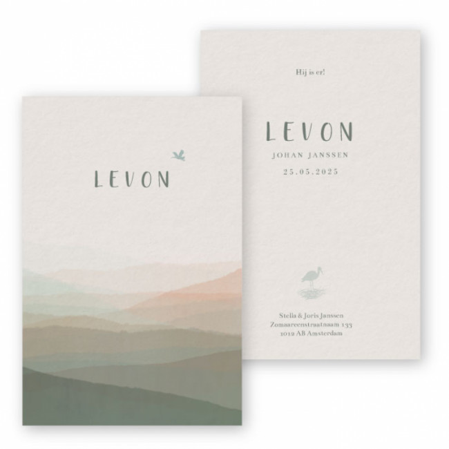 Geboortekaartje Levon