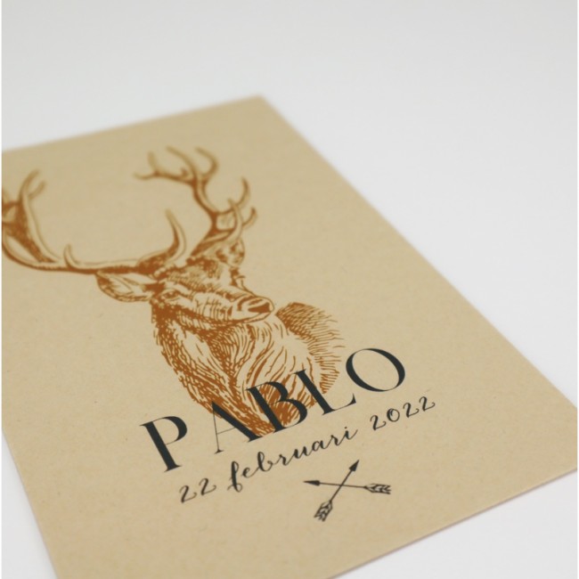 Geboortekaartje Naturel karton Pablo