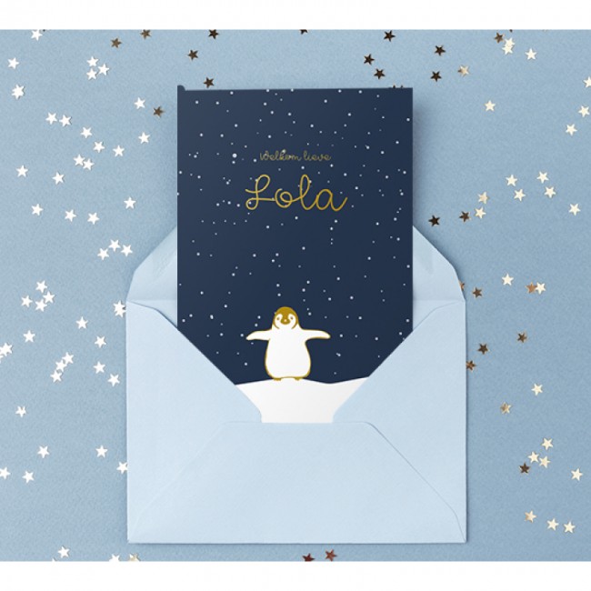 Geboortekaartje Pinguin 