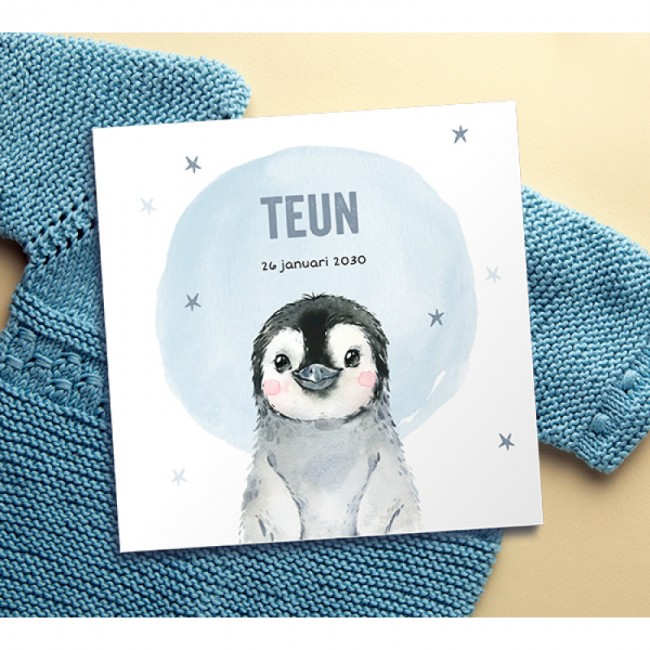 Geboortekaartje Pinguin winter met sterren