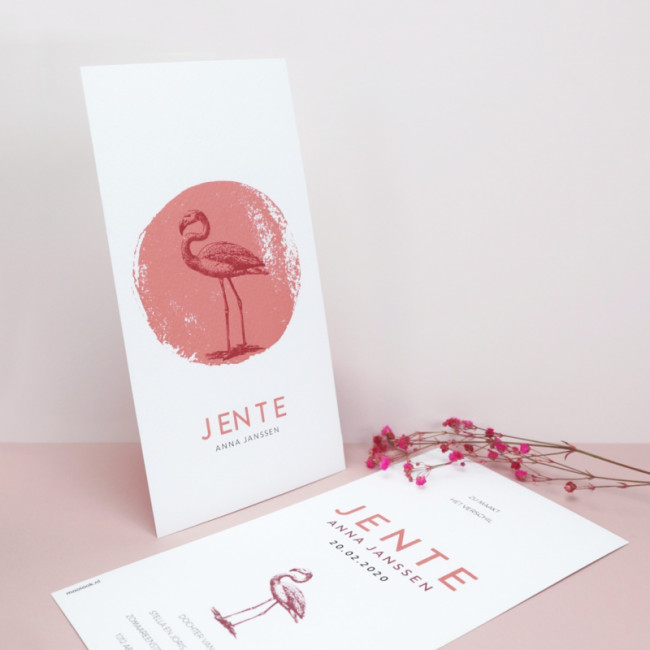 Geboortekaartje Roze met flamingo