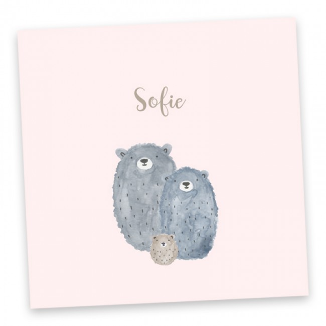 Geboortekaartje Sofie