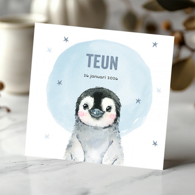 Geboortekaartje Winter met pinguin