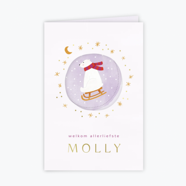 Geboortekaartje Winters geboortekaartje