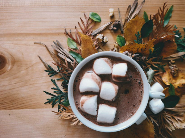 winters alternatief beschuit met muisjes